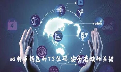  比特币钱包的73位码：安全存储的关键