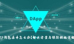 TP钱包丢币怎么办？解决方案与预防措施详解