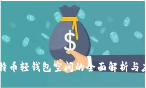 比特币轻钱包空间的全面解析与应用