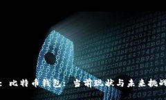 : 比特币钱包: 当前现状与未来挑战