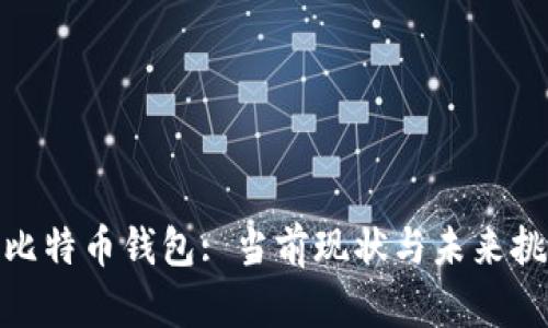 : 比特币钱包: 当前现状与未来挑战