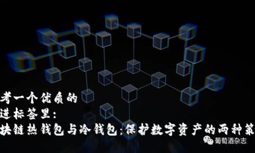 思考一个优质的  
放进标签里:  
区块链热钱包与冷钱包：保护数字资产的两种策略
