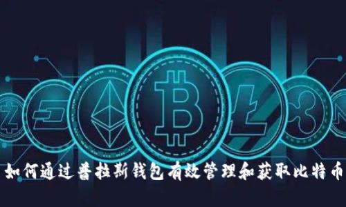 如何通过普拉斯钱包有效管理和获取比特币