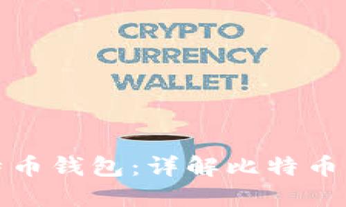 如何选择合适的比特币钱包：详解比特币钱包的种类与安全性