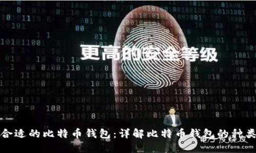 如何选择合适的比特币钱包：详解比特币钱包的种类与安全性