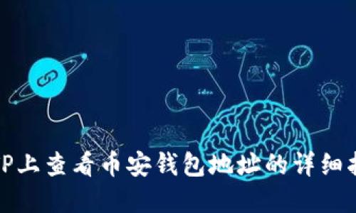在TP上查看币安钱包地址的详细指南