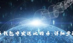 如何在比特币钱包中发送