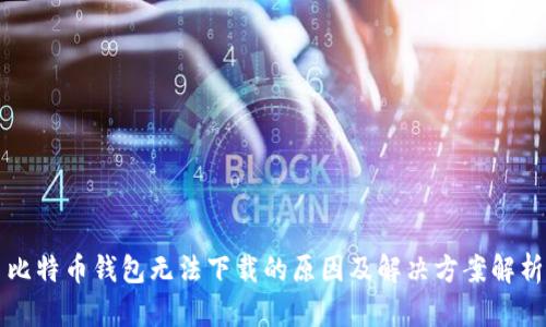 比特币钱包无法下载的原因及解决方案解析