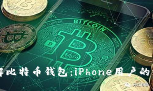 深入了解比特币钱包：iPhone用户的终极指南