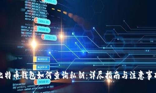 比特币钱包如何查询私钥：详尽指南与注意事项