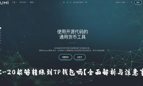 TRC-20能够转账到TP钱包吗？全面解析与注意事项