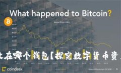 比特币存放在哪个钱包？
