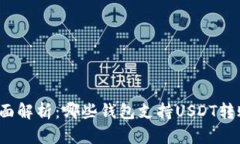 全面解析：哪些钱包支持