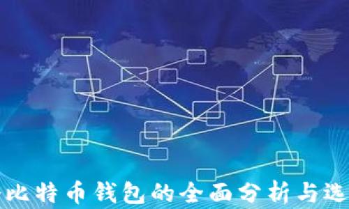 
100个比特币钱包的全面分析与选择指南