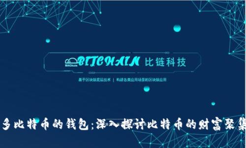 总有最多比特币的钱包：深入探讨比特币的财富聚集与分布