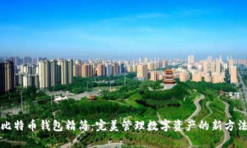 比特币钱包精简：完美管理数字资产的新方法