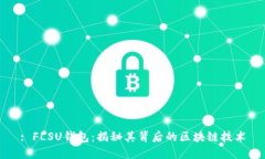 : FLSU钱包：揭秘其背后的