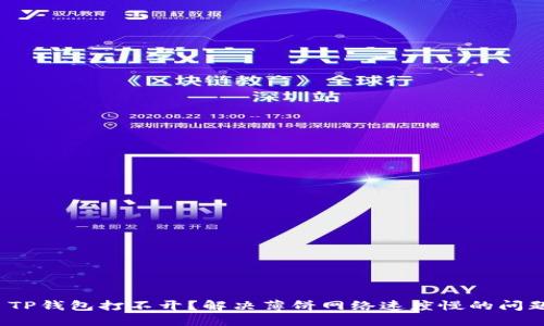  TP钱包打不开？解决薄饼网络速度慢的问题