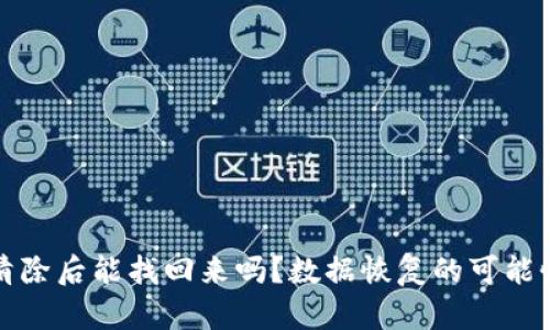 tp钱包清除后能找回来吗？数据恢复的可能性与方法