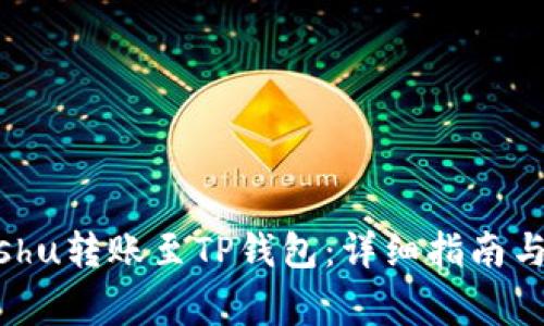 如何将Kishu转账至TP钱包：详细指南与注意事项