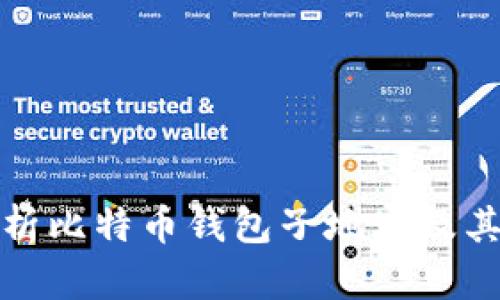 全面解析比特币钱包子地址及其重要性