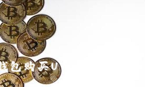  如何通过TP钱包购买U币并充值入池：详细流程指南