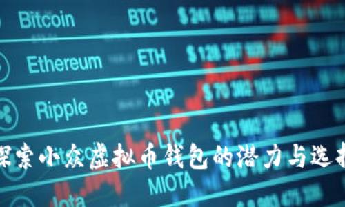 探索小众虚拟币钱包的潜力与选择