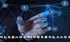 苹果手机钱包能存比特币