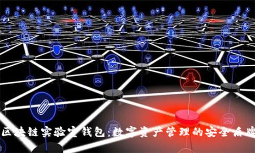 区块链实验室钱包：数字资产管理的安全盾牌