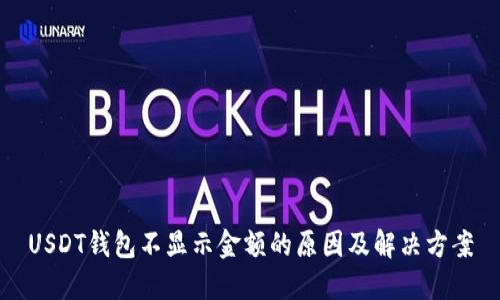 USDT钱包不显示金额的原因及解决方案