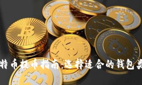 比特币提币指南：选择适合的钱包类型