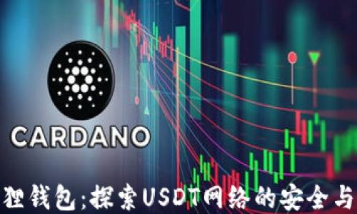 
小狐狸钱包：探索USDT网络的安全与便捷