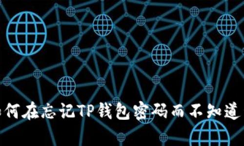  保护你的数字资产：如何在忘记TP钱包密码而不知道私钥的情况下恢复钱包