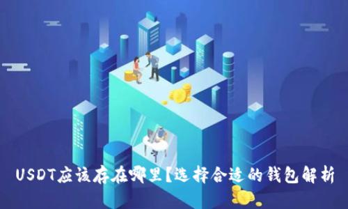 USDT应该存在哪里？选择合适的钱包解析