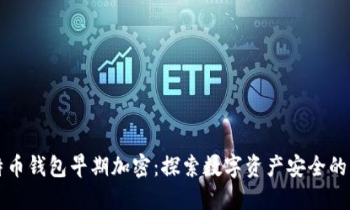 比特币钱包早期加密：探索数字资产安全的演变