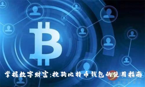 掌握数字财富：搜狗比特币钱包的使用指南