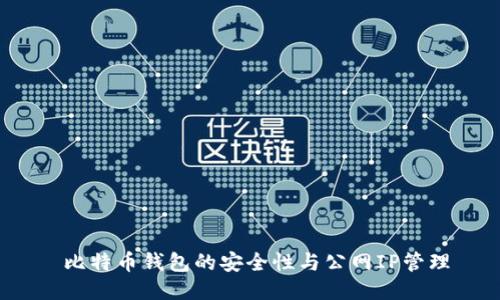  比特币钱包的安全性与公网IP管理