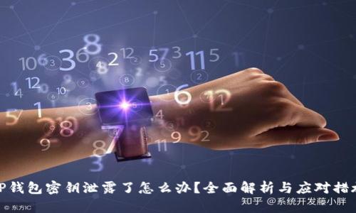TP钱包密钥泄露了怎么办？全面解析与应对措施