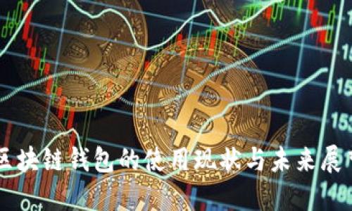 区块链钱包的使用现状与未来展望