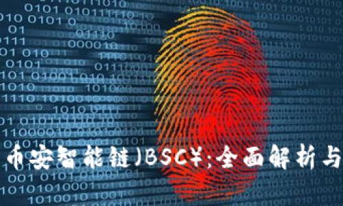 TP钱包与币安智能链（BSC）：全面解析与使用指南
