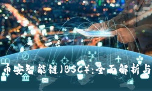 TP钱包与币安智能链（BSC）：全面解析与使用指南