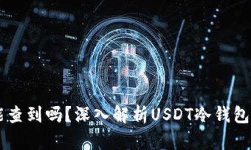 : USDT冷钱包能查到吗？深入解析USDT冷钱包的安全性与隐私