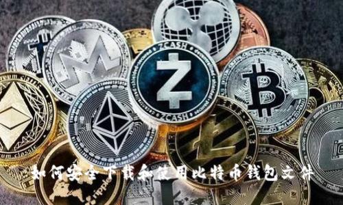 如何安全下载和使用比特币钱包文件