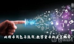 比特币钱包与洗钱：数字