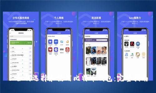 : 如何选择和使用比特币钱包：完整指南
