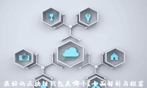 
最好的区块链钱包是哪个？全面解析与推荐