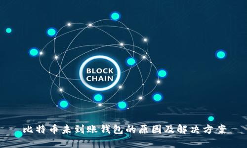 比特币未到账钱包的原因及解决方案