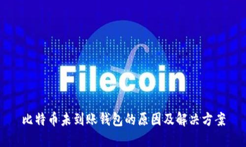 比特币未到账钱包的原因及解决方案