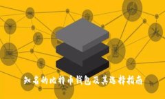 知名的比特币钱包及其选