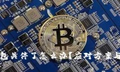 如果TP钱包关停了怎么办？